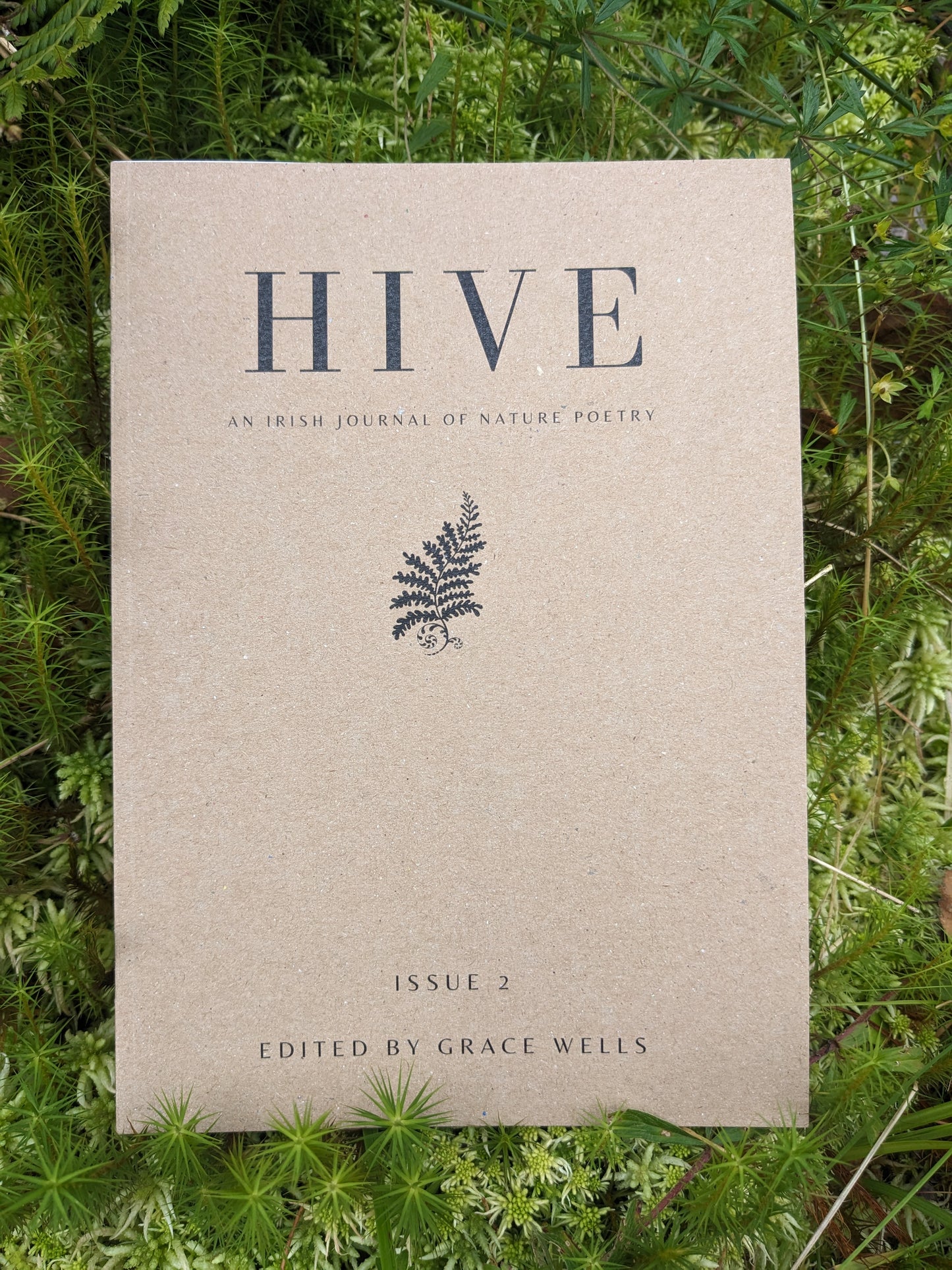 Hive Issue 2