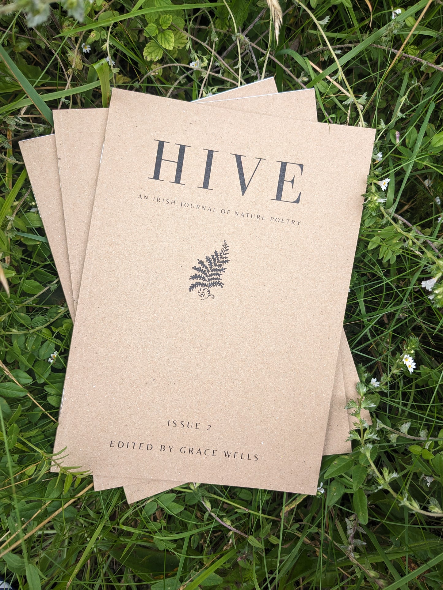 Hive Issue 2